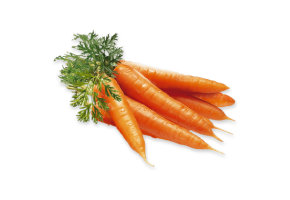 Carrot - गाजर - ગાજર
