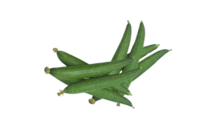 Sponge Gourd - तोरी - ગલકા