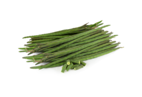 Drumstick - सहजन - સરગવો