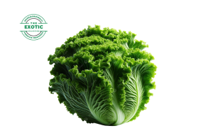 Lettuce - Exotic