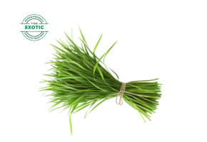 Lemongrass - Exotic