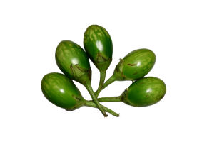 Green Brinjal- रवैया - રવૈયા