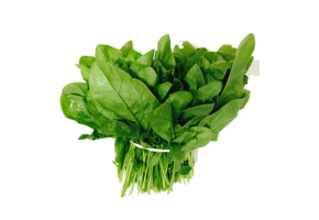 Spinacia oleracea - पालक - પાલક