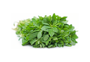 Fenugreek Leaves - मेथी - મેથી