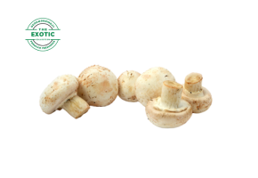 Mushroom [cultivated] - Exotic
